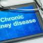 What is Chronic Kidney Disease?